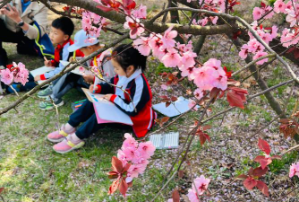 日照市市级机关曙光幼儿园户外活动场地