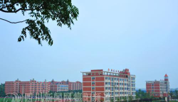 江口县职中户外活动场地