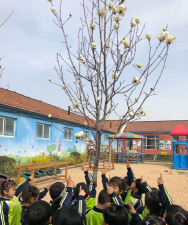 潍坊市寒亭街办东三角幼儿园户外活动场地