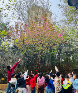 南京长江路小学附幼*户外活动场地