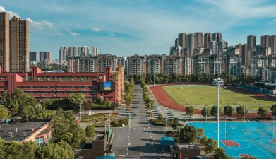 武汉市东西湖区湖滨学校户外活动场地