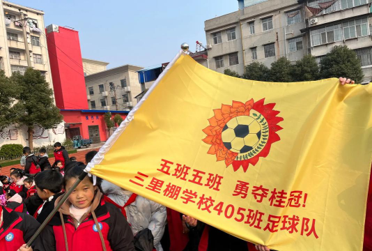 孝南区三里棚学校户外活动场地