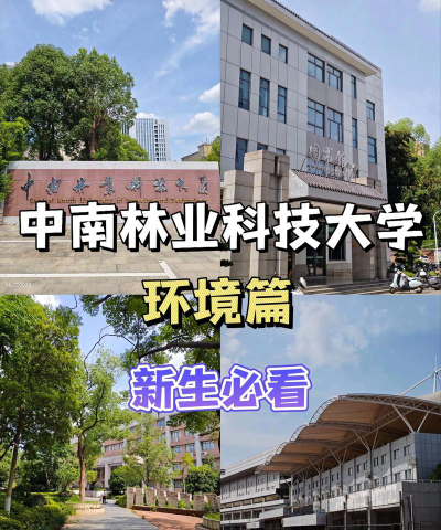 中南林业科技大学户外活动场地