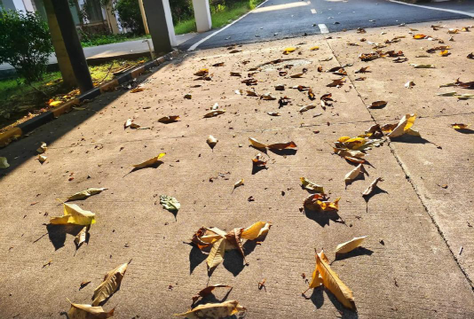 芜湖滴水科技学校户外活动场地