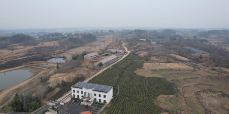 上新集镇中户外活动场地