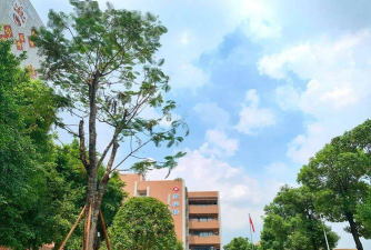佛山市禅城区张槎中学户外活动场地