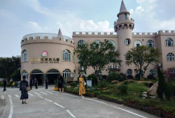 深圳龙岗布吉爱丽斯幼儿园户外活动场地