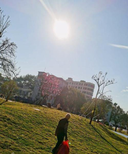 龙门县龙江镇六屯教学点户外活动场地