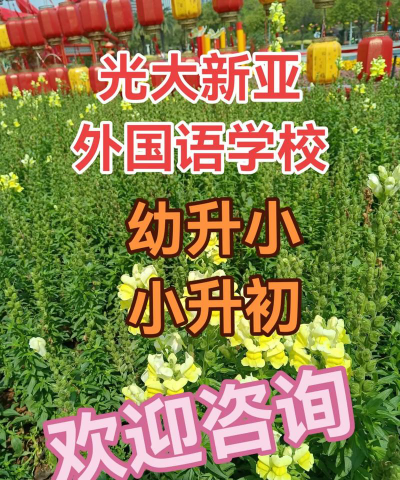东莞市光大新亚外国语学校户外活动场地
