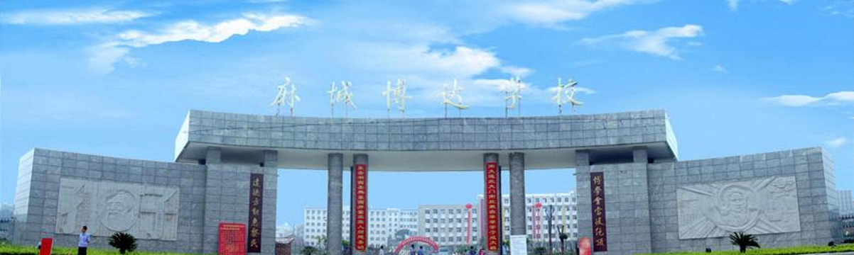 麻城市博达学校户外活动场地