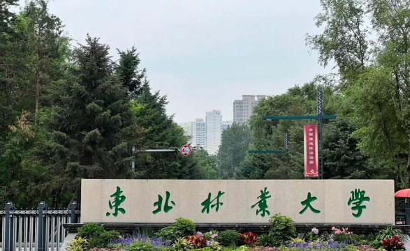 东北林业大学户外活动场地