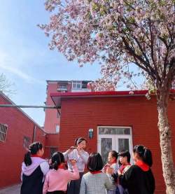武清区王庆坨镇九街小学户外活动场地