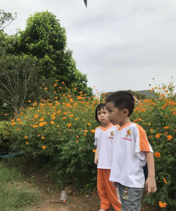 台山侨雅双语实验幼儿园户外活动场地