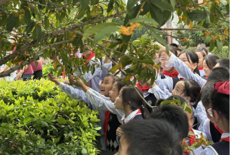 岳阳楼区桂花园小学户外活动场地