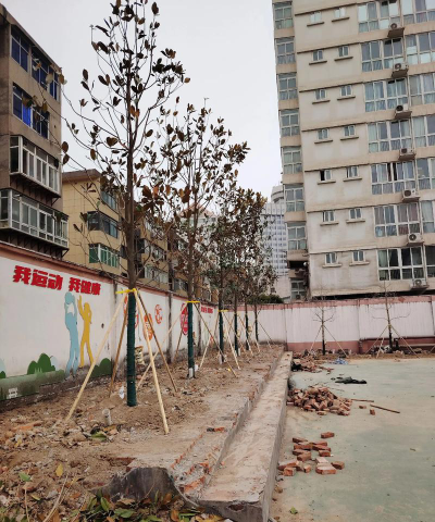 绿化中学户外活动场地