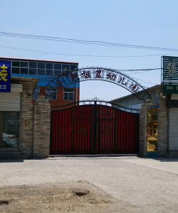 曲周县金摇篮幼儿园户外活动场地