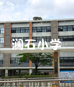佛山市禅城区澜石番村小学户外活动场地