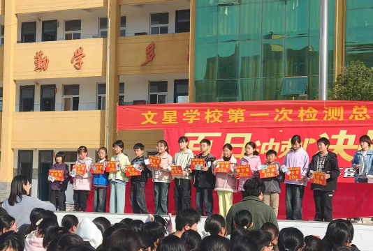 文星镇高岭学校户外活动场地