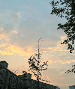 长沙市商业职业技术学校户外活动场地
