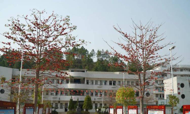 怀集县冷坑镇朗照小学教学点户外活动场地
