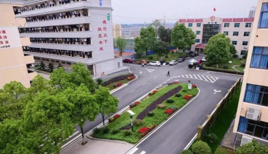 平江县璐璐艺术职业学校户外活动场地