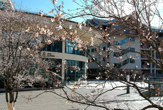 云南省曲靖市师宗县大舍中学户外活动场地