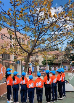 佛山市顺德区勒北小学户外活动场地