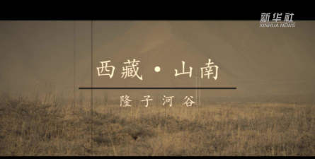 隆子镇新巴完小户外活动场地