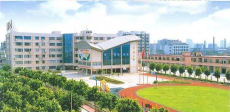 广州市荔湾区芳村小学户外活动场地