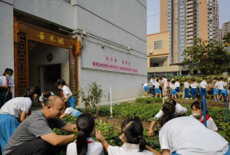 广州市荔湾区林凤娥小学户外活动场地