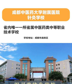 成都金沙卫校户外活动场地