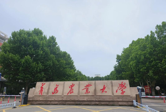 青岛农业大学户外活动场地