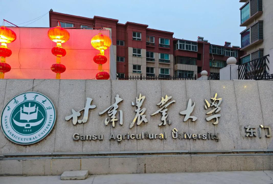 甘肃农业大学户外活动场地