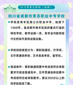 四川省成都市青苏职业中学校户外活动场地