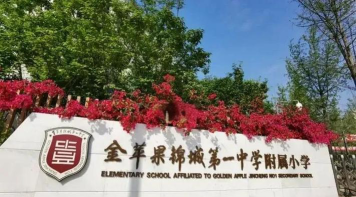 大荔县金苹果学校户外活动场地
