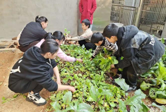 益阳市资阳区迎风桥镇民主学校户外活动场地