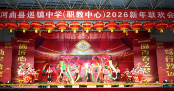 河曲县巡镇中学(职教班)户外活动场地