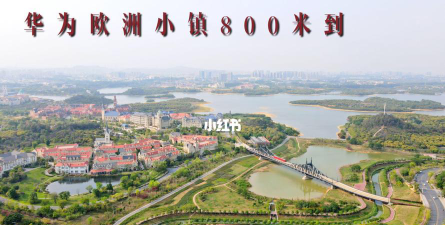 东莞松山湖实验小学户外活动场地