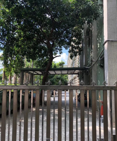 台北市立双园国民小学户外活动场地