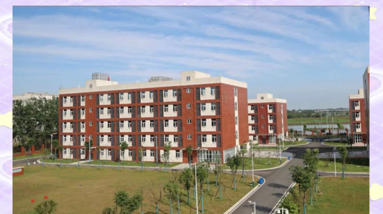 朱河中学户外活动场地