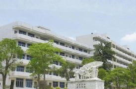 阳江卫生学校户外活动场地