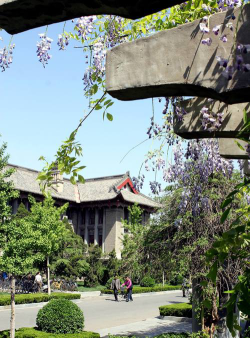 河南大学医学院户外活动场地
