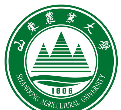 山东农业大学户外活动场地