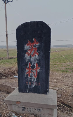 苏村乡中户外活动场地