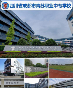 四川省成都市青苏职业中专学校户外活动场地