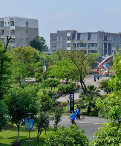 成都电子信息学校户外活动场地
