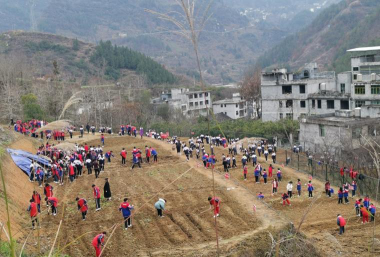沿河二中户外活动场地