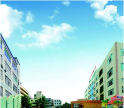 广州市天河区东风实验小学户外活动场地