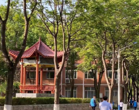 情殇中学户外活动场地