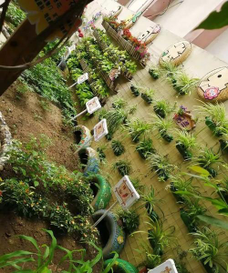 北海市第一幼儿园户外活动场地